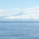 Canaries : Charter week 2020