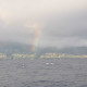 Canaries : Charter week 2020